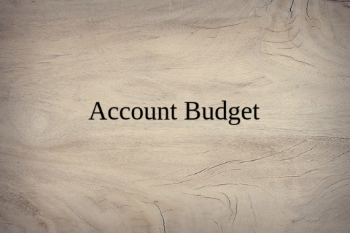 Accounting AnalyticProject Budget Management