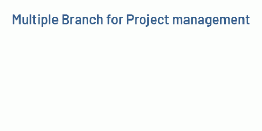 Multiple Branchs Project