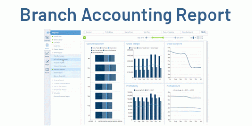 branch accounting report