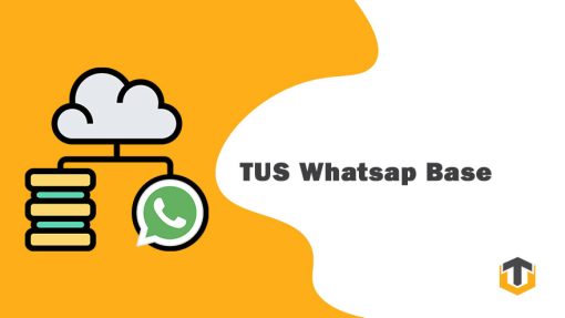 Odoo WhatsApp Integration