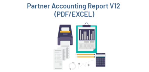 Odoo Partner Ledger