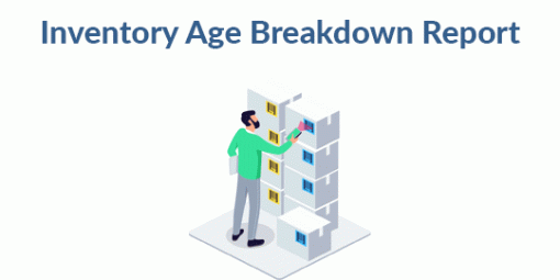 Stock Inventory Aging and Breakdown
