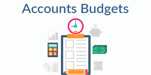 Analytic Accounts Budgets