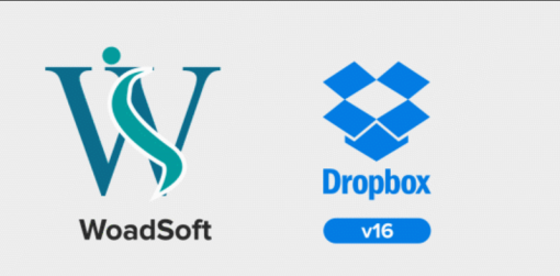 Odoo Dropbox Integration
