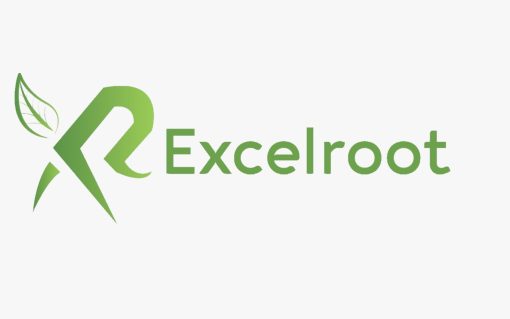 GoExcel Visit