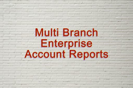 Multi Branch Enterprise