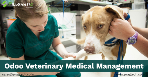 Odoo Veterinary