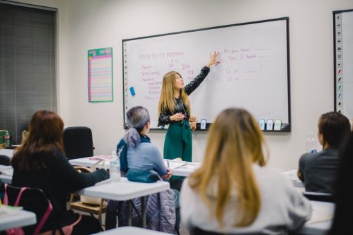 Language School / Institute