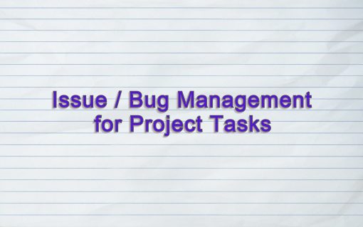 Issues / Bugs