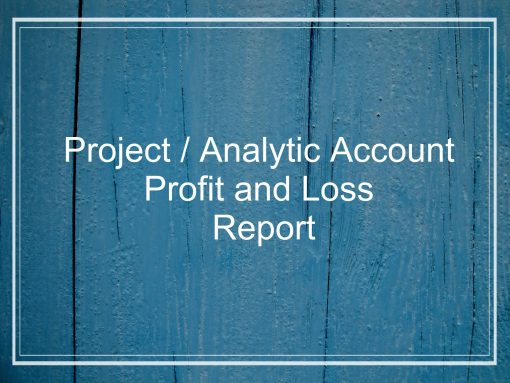 Analytic Account Profit and Loss