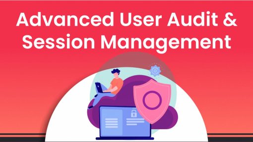 Advanced User Audit