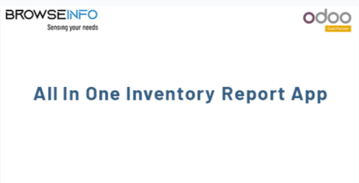 All in One Inventory Report Management