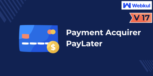 Payment Acquirer PayLater