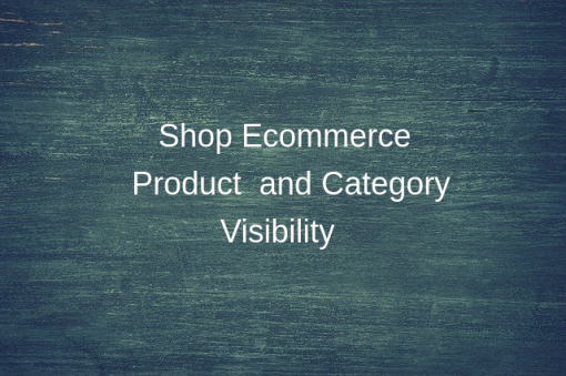 Website Product Visibility