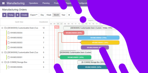 Gantt View