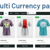 POS Multi Currency payment in Odoo