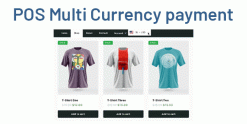 POS Multi Currency payment in Odoo