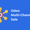 Odoo Multi-Channel Sale