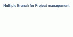 Multiple Branchs Project