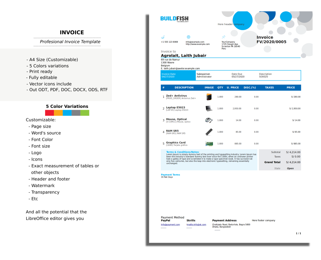 Professional Template Account Invoice
