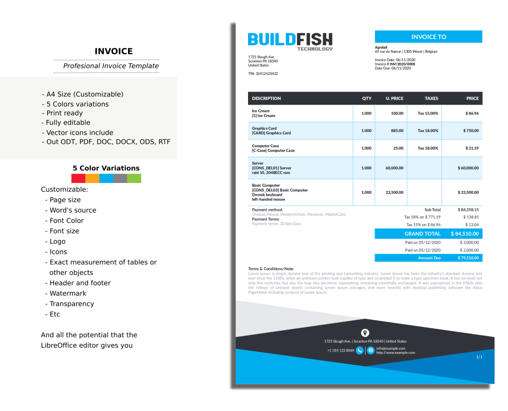 Professional Template Account Invoice