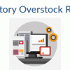 Inventory Overstock Report