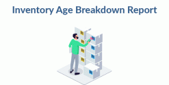 Stock Inventory Aging and Breakdown