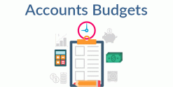 Analytic Accounts Budgets