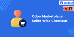 Marketplace Seller Wise Checkout