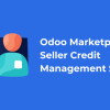 Odoo Marketplace Seller Credit