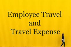 Employee Travel and Travel Expense