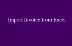 Import Invoice from Excel