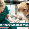 Odoo Veterinary