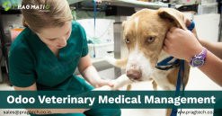 Odoo Veterinary