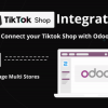 Tiktok Shop Connector