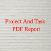 Project And Task PDF Report