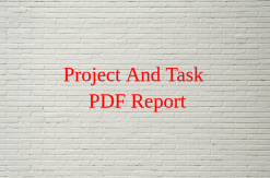 Project And Task PDF Report
