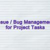 Issues / Bugs