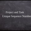Project and Project Task