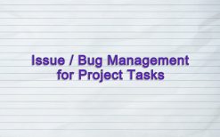 Issues / Bugs