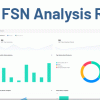 Stock FSN Analysis