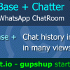 ChatRoom Chatter. Chat history in any form.