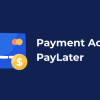 Payment Acquirer PayLater