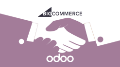 BigCommerce Odoo Integration