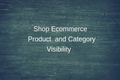 Website Product Visibility