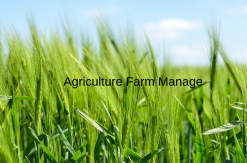 Agriculture / Farm Managment