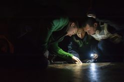 Job Inspection for Machine Repair Requests