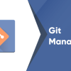 Git Management