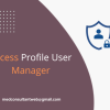 Access User Access Manager