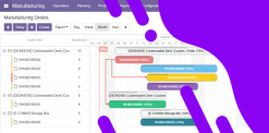 Gantt View